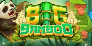 Thư Giãn Nhưng Đầy Kịch Tính Với Big Bamboo Tại Bongvip